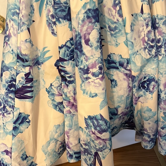 Gorgeous Madeline Gardner prom Dress Size 4 - Picture 15 of 16